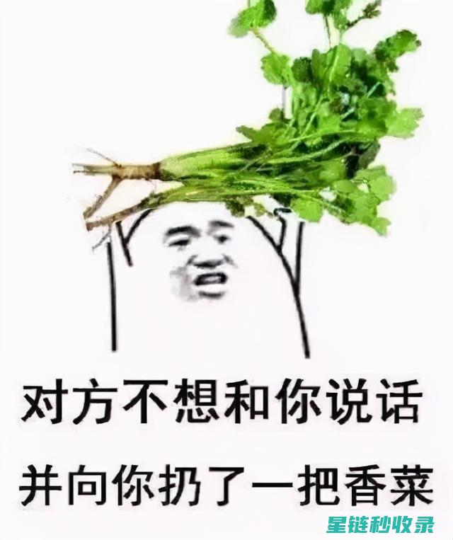 再也不怕香菜难保存？这款独家方法助你轻松搞定 (香菜不敢笑了)