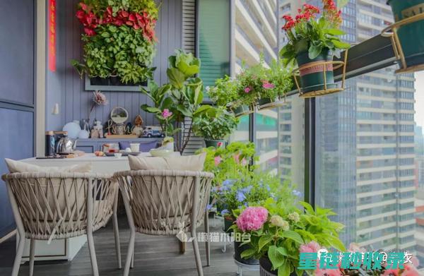 《探索阳台种植新天地：打造属于自己的绿色小世界》 (如何科学的阳台种植)