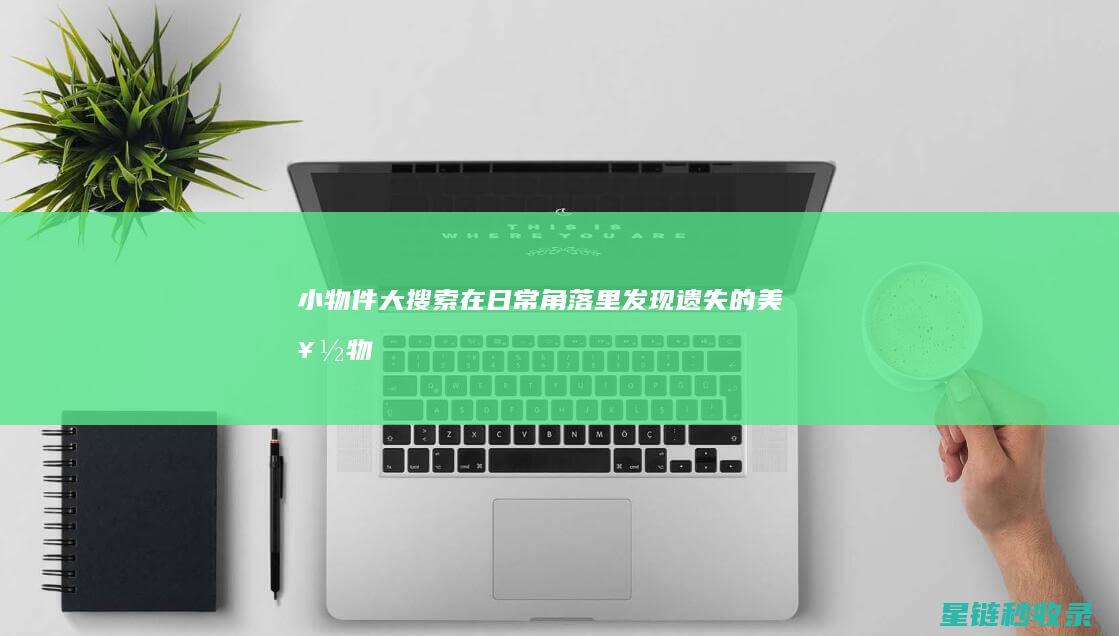 小物件大搜索：在日常角落里发现遗失的美好 (物品大搜索)