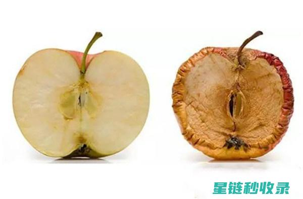 防止苹果氧化的秘密武器，让你的水果永远新鲜可口 (防止苹果氧化的生活小技巧)