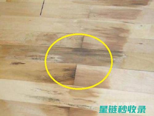 木地板保养全书：实用技巧与经验分享 (木地板保养全过程视频)