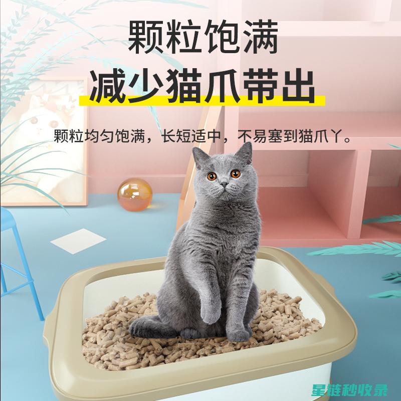 猫砂除臭攻略：让你的猫咪生活更舒适 (猫砂除臭方法)