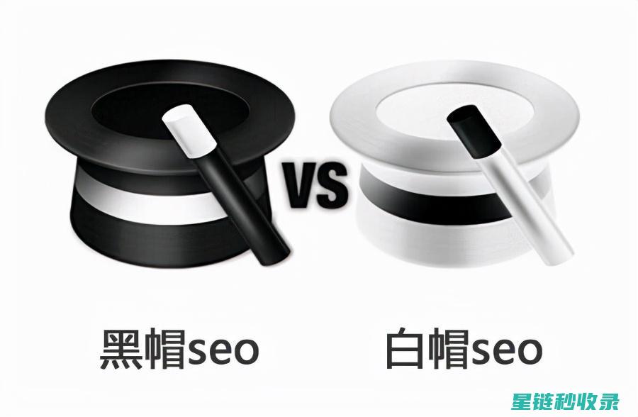 黑帽SEO在国际市场的差异：不同国家搜索引擎的漏洞对比 (黑帽论坛seo的详细情况)